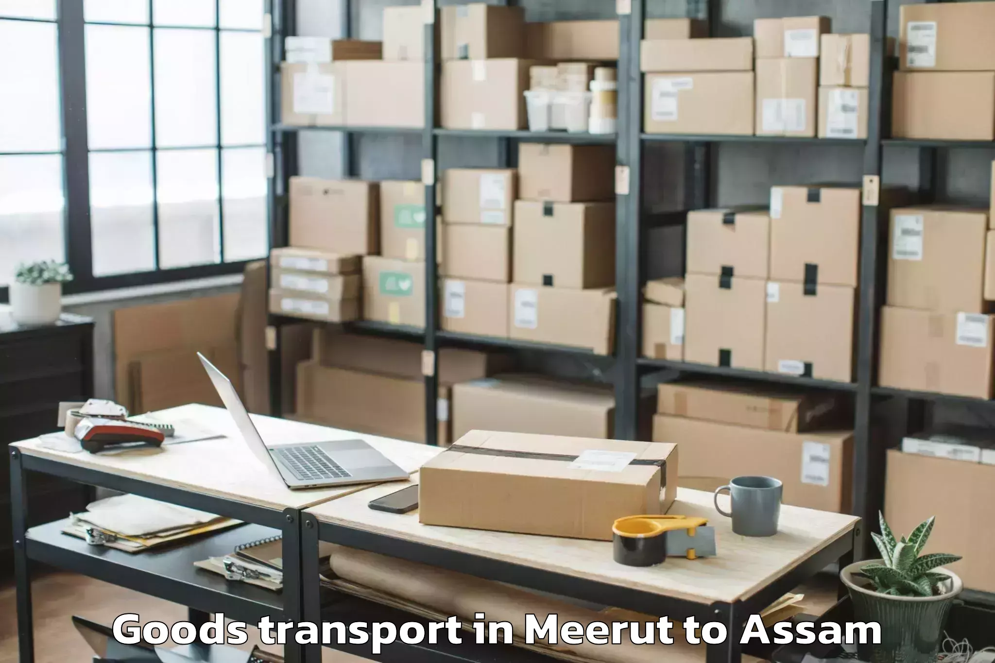 Book Meerut to Tamarhat Goods Transport